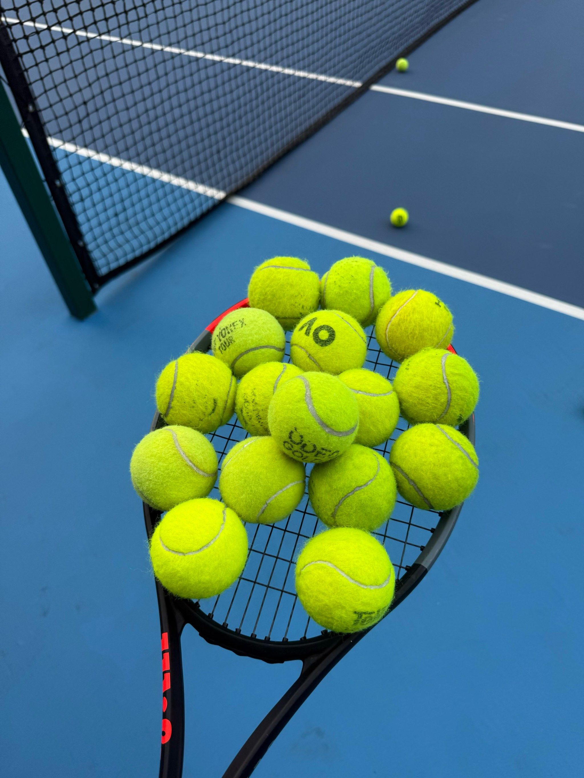 这不仅体现 这不仅体现